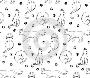 Black and white handrawn cats pattern