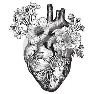 Black and white heart drawing with flowers, engraving, romanticism, anatomical heart, nature tattoo