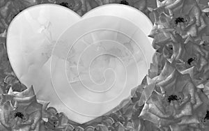 black and white heart shape on black and white roses stack background, nature, decor, banner, template, card, copy space