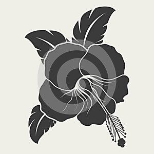 Black and white hibiscus flower shape