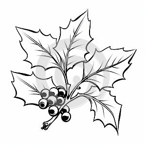 Monochrome Holly Leaf Illustration In Cranberrycore Style photo