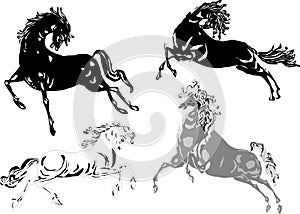 Black and white horse