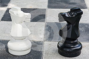Black and white horse from big chess game