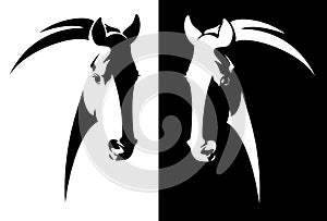 Black and white horse head vector