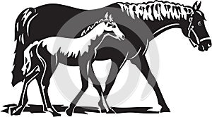 Black and White Horses Mare and Foal Illustration