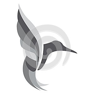 Black and white hummingbird vector