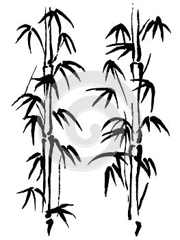 Black and white illustration. Bamboo photo