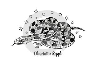 Black and white illustration of a coiled snake, featuring distinct