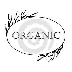 Black-and-white illustration in a frame with herbs