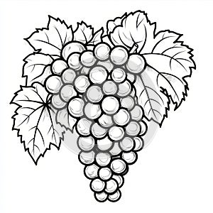 Black and white illustration of a grape cluster and leaves.