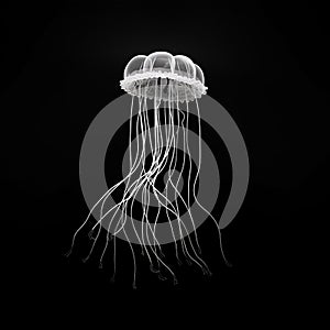 Black and white illustration of a jellyfish swimming on a plain background.