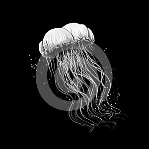 Black and white illustration of a jellyfish swimming on a plain background.