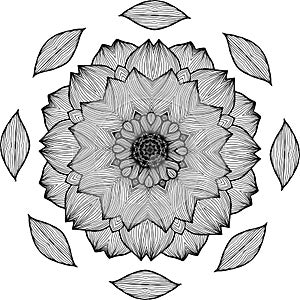 Black and white illustration of a mandala - a flower of life. Chrysanthemum.