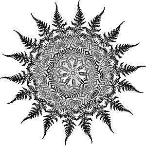 Black and white illustration of a mandala - a flower of life. Fern and leaf fractal.