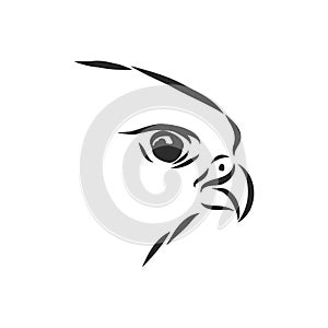 Black and white illustration. Sketch of bird Detailed hand drawn eagle for tattoo on back. Falcon bird, vector sketch