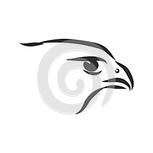 Black and white illustration. Sketch of bird for tattoo art. Detailed hand drawn eagle for tattoo on back. Falcon bird, vector