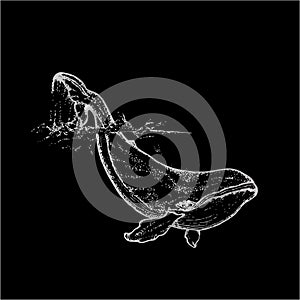 Black white illustration of a whale raising tail in the sea waves. An idea for a tattoo. Chalk on a blackboard.