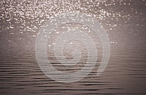 Black and White image of abstract blurred sparkle or bokeh of the water when sunlight reflect on surface of lake at public park.