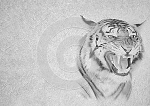 Black and White Image of Angry Tiger Face on Card