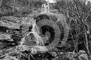 Black and White Image of Apple Orchard Falls