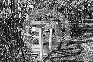 Black white image of a broken white chair in a garden Labyrinth, Germany