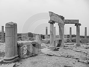 Black and white image of columns and stones at ancient Roman ruins of Lep