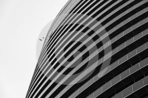 Black and white image of curved modern building with horizontal lines and birds flying by