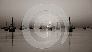 black and white image of dhows in the shore parked at katara beach in qartar during dhow festival