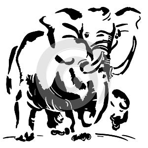 Black and white image of the elephant