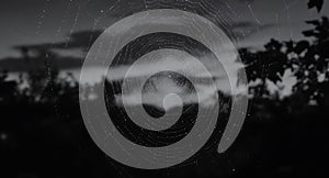 Close-up of a spider web with dew drops in black and white