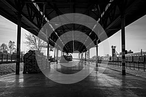 Black and white image featuring an urban train station with multiple tracks and platforms