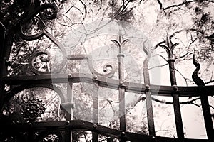 black and white image of garden behind closed gates