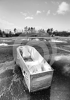 Black and white image of half of a mannequin in a coffin