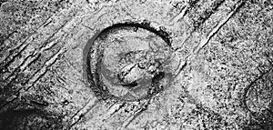 A black-white image of a horse\'s shod hoof print on wet sand. Livestock and agriculture. Horseshoe