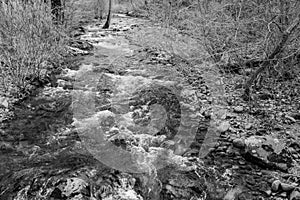 A Black and White Image of Jennings Creek