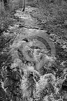 A Black and White Image of Jennings Creek