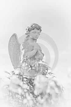 Black and white image of little angel in flowers as symbol of guards for children. Love, faith, hope, religion, Christianity, good