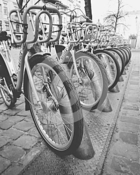 Black and white image of long row of bicycles on the parking at bike rental