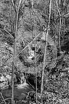 Black and White Image of a Mountain Cascade Waterfall