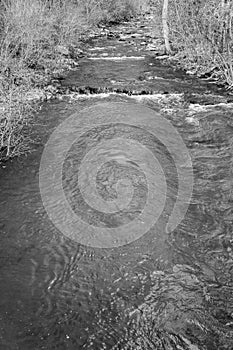 A Black and White Image of a Mountain Trout Stream in the Blue Ridge Mountains