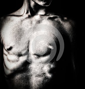 Black and white image of a nude male torso