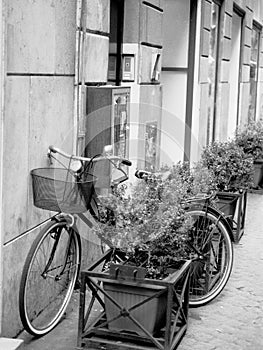 Black and White image of an old Bicycle with a basket in Rome