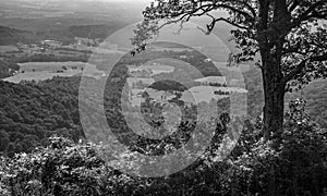 A Black and White Image of the Piedmont Valley