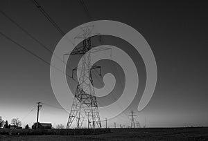 Black and white image of power lines at sunrise