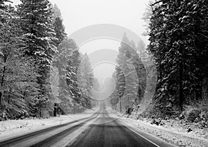 Black and white image of a road through a snowy landscape, fading into the horizon