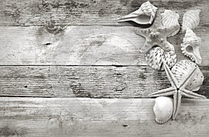 Black and white image of seashells and starfish on a rustic wooden ocean blue background with copy space.