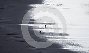 Black and white image silhouette of a person walking a dog on wet sand beach at Castlepoint Lighthouse New Zealand