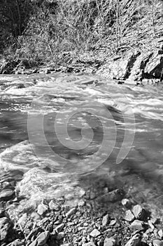 A Black and White Image of Trout Stream