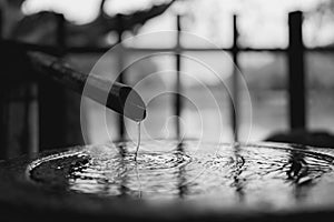 Water dripping in a pond