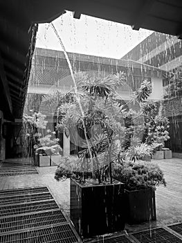 Black and white image of water streams and rain droplets falling from the wooden roof of house in asian style